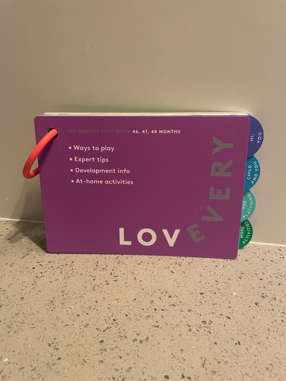 Lovevery ‘The Analyst’ Play Guide